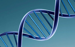 「遺伝子は永遠に形質転換される」：スチャリット・バクディ博士
