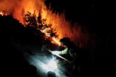 スペイン領テネリフェ島の山火事は「放火」だと警察当局が認める