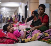 バングラデシュのデング熱での死者数が、現時点で過去最多だった2022年の3倍に