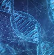 中国の科学者たちが「DNAベースのコンピュータ」ユニットの開発に成功