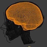 脳へのスパイクタンパク質の注入が「認知機能障害を誘発する」という論文