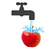 「重曹水が効果的に果実の表面の残留農薬を除去する」という論文