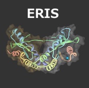 インターフェロン刺激因子の「エリス」を発見。そして、それは STING でもあったという