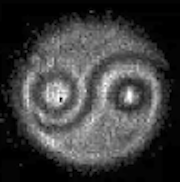 「食餌中のアコニチンとニコチンが2種類の鱗翅目草食動物の腸内細菌叢に及ぼす影響」という論文