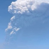 インド・ジャールカンド州で同じ一頭のゾウの襲撃より2日間で13人が死亡