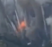 タイとカンボジアの軍事衝突で500万匹の家畜が影響を受けているという報道。すでに400頭以上が死亡