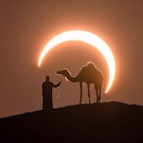 クウェート政府が「食品の輸出を禁止」に